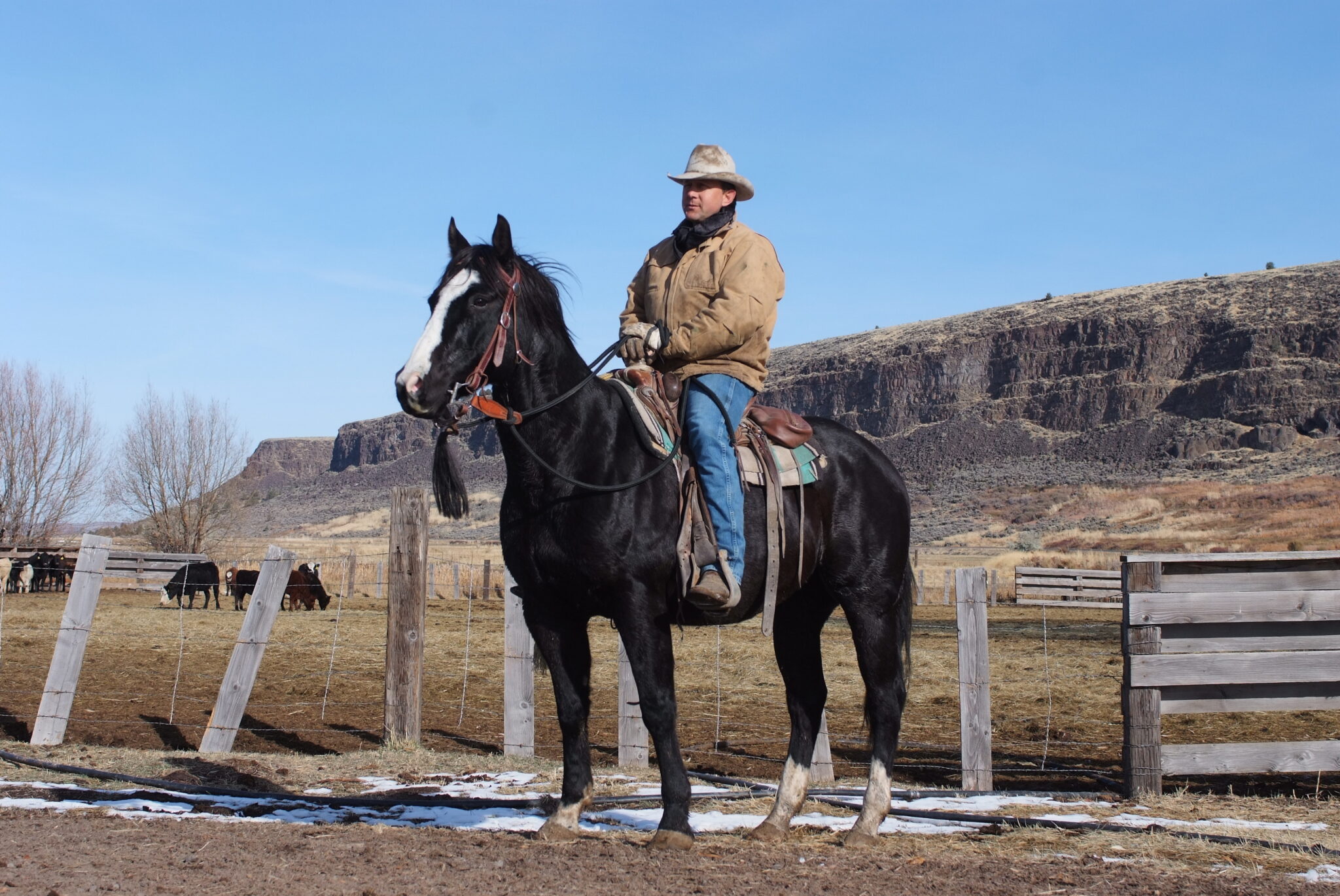The Roaring Springs Ranch