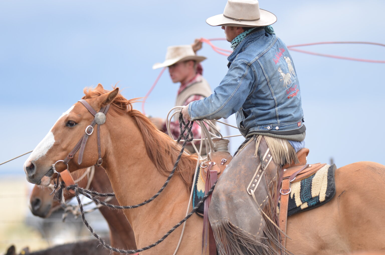 The Roaring Springs Ranch