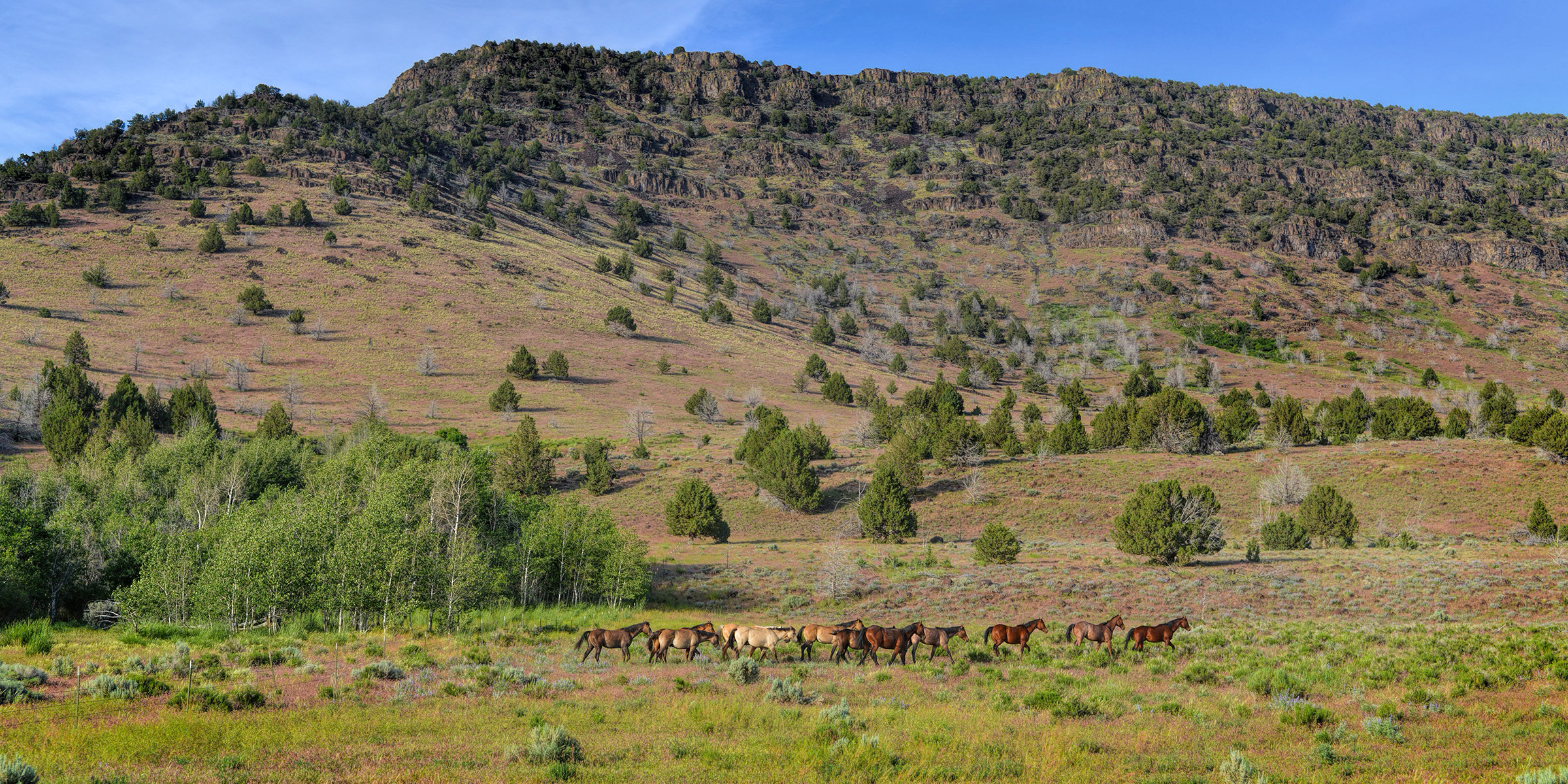 The Roaring Springs Ranch About