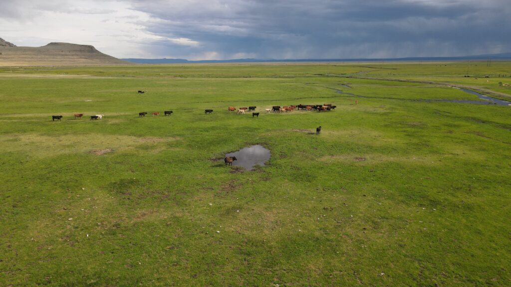 History of the Roaring Springs Ranch