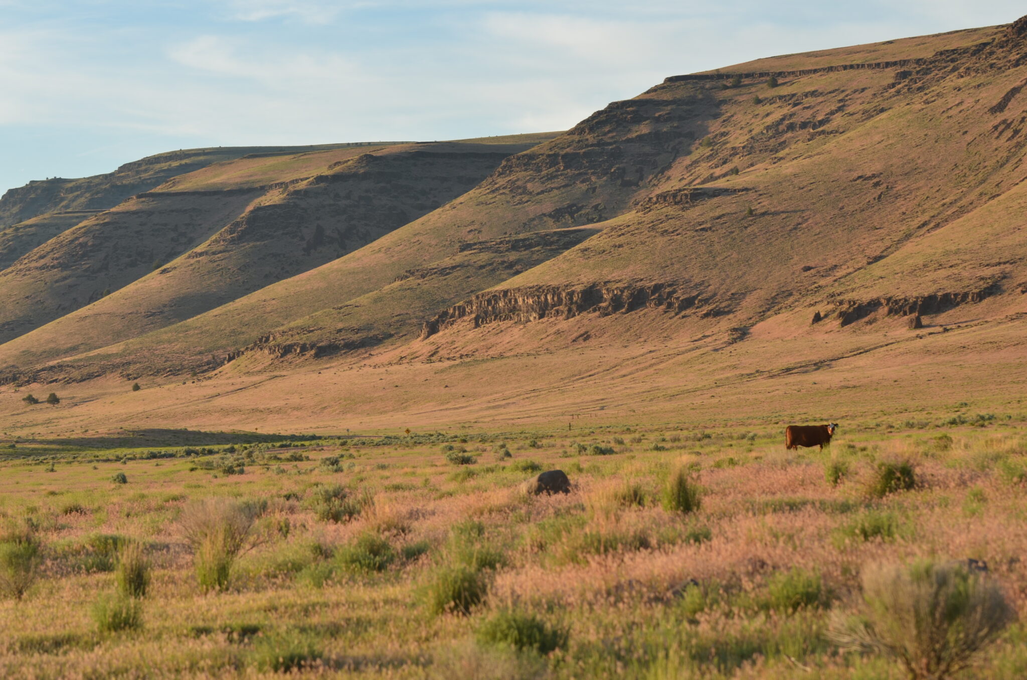 The Roaring Springs Ranch About